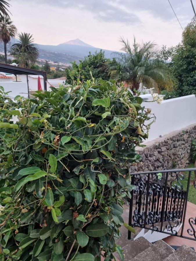 La Casa De Lucy & Karin Villa La Orotava Dış mekan fotoğraf